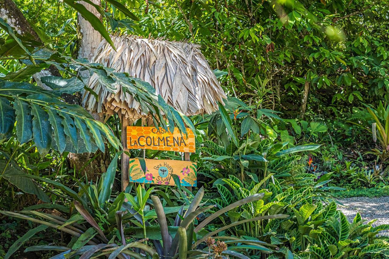 Bee Happy Studio Cahuita Exterior foto